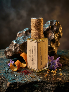 Probe Nr. 7759(1) "Galactic Odyssey"